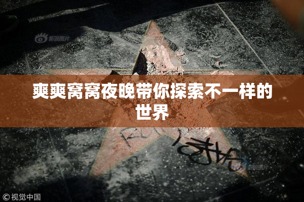 爽爽窝窝夜晚带你探索不一样的世界