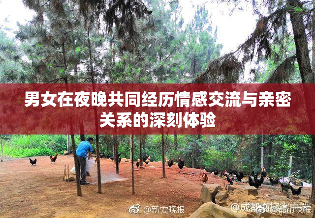 男女在夜晚共同经历情感交流与亲密关系的深刻体验