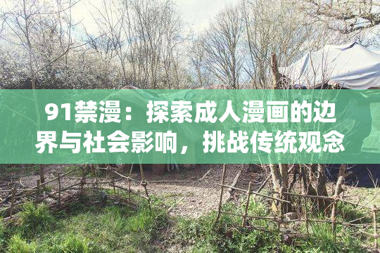 91禁漫：探索成人漫画的边界与社会影响，挑战传统观念