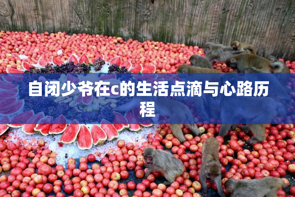 自闭少爷在c的生活点滴与心路历程