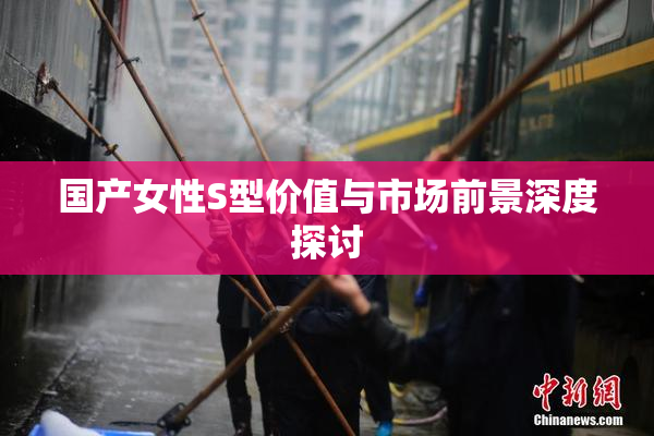 国产女性S型价值与市场前景深度探讨