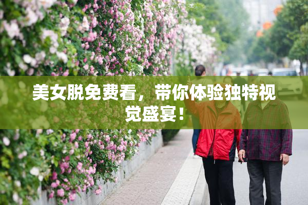 美女脱免费看，带你体验独特视觉盛宴！
