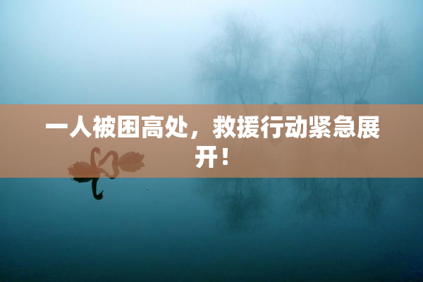 一人被困高处，救援行动紧急展开！