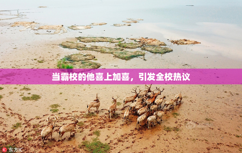 当霸校的他喜上加喜，引发全校热议