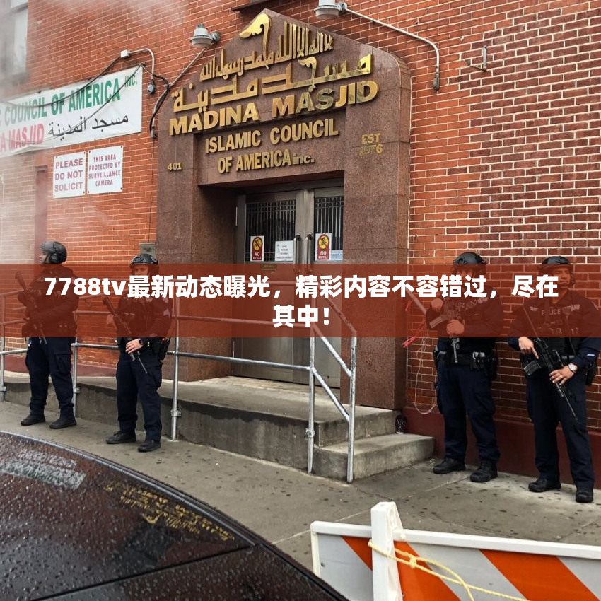 7788tv最新动态曝光，精彩内容不容错过，尽在其中！