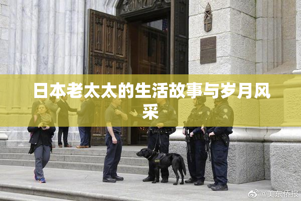 日本老太太的生活故事与岁月风采