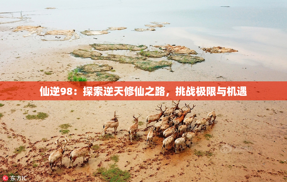 仙逆98：探索逆天修仙之路，挑战极限与机遇
