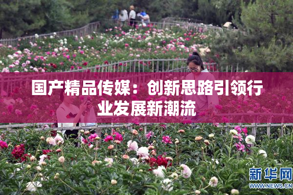 国产精品传媒：创新思路引领行业发展新潮流