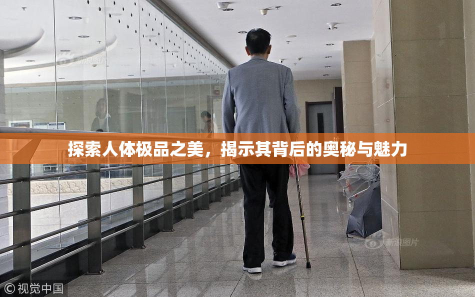 探索人体极品之美，揭示其背后的奥秘与魅力