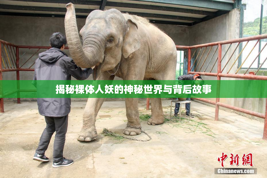 揭秘裸体人妖的神秘世界与背后故事