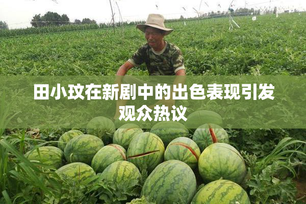 田小玟在新剧中的出色表现引发观众热议
