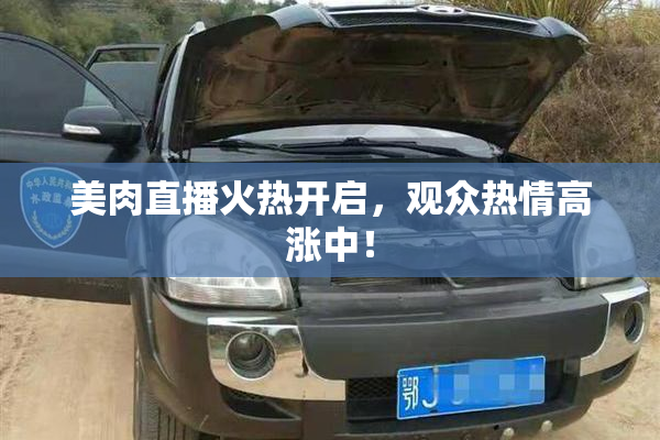 美肉直播火热开启，观众热情高涨中！