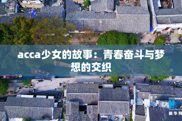 acca少女的故事：青春奋斗与梦想的交织