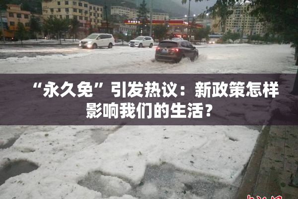 “永久免”引发热议：新政策怎样影响我们的生活？