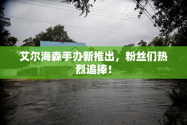 艾尔海森手办新推出，粉丝们热烈追捧！