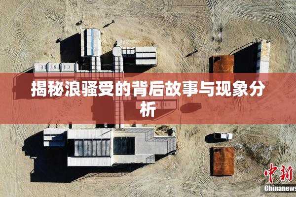 揭秘浪骚受的背后故事与现象分析