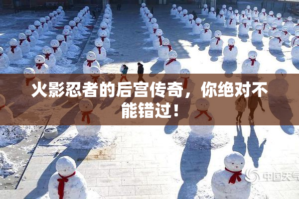 火影忍者的后宫传奇，你绝对不能错过！