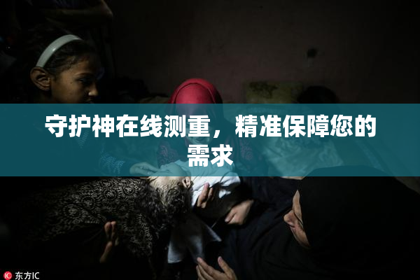 守护神在线测重，精准保障您的需求