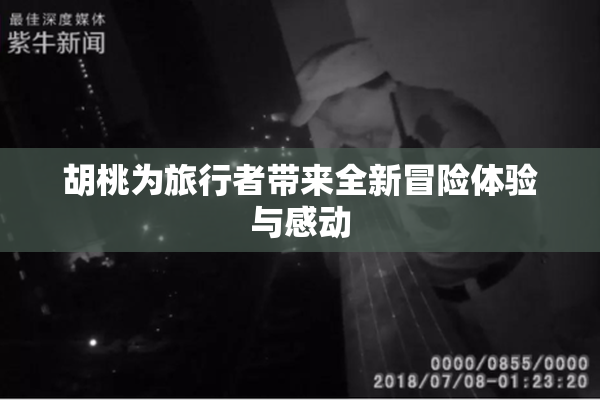 胡桃为旅行者带来全新冒险体验与感动