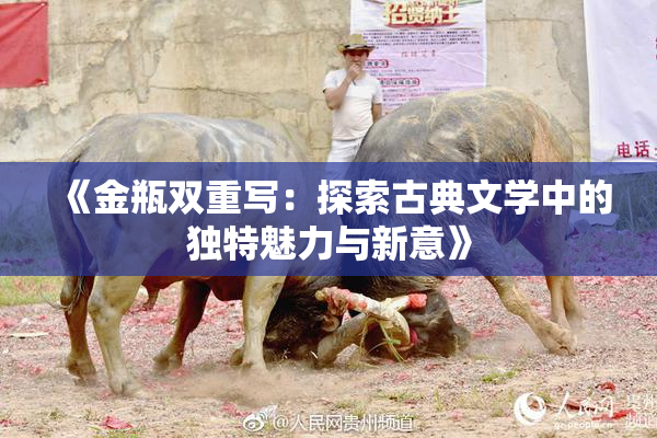 《金瓶双重写：探索古典文学中的独特魅力与新意》