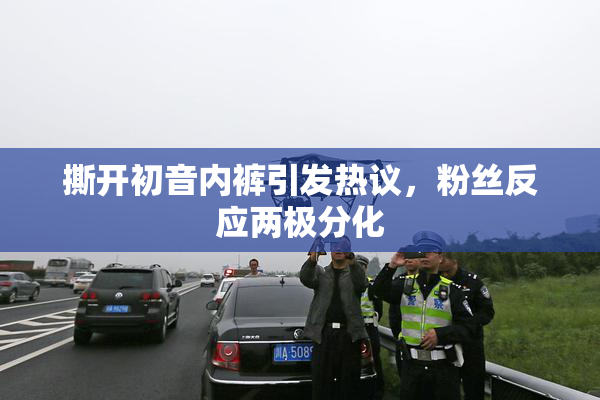 撕开初音内裤引发热议，粉丝反应两极分化