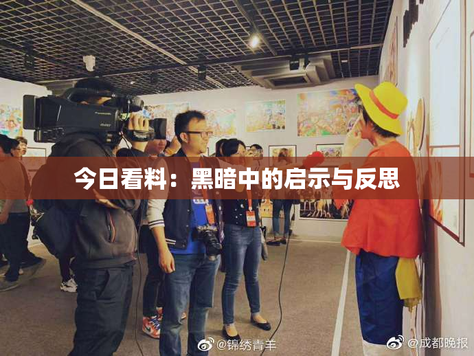 今日看料：黑暗中的启示与反思