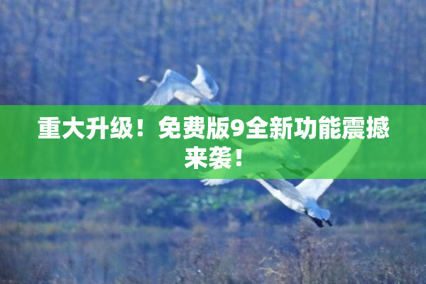 重大升级！免费版9全新功能震撼来袭！