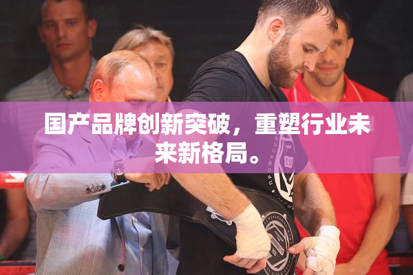 国产品牌创新突破，重塑行业未来新格局。