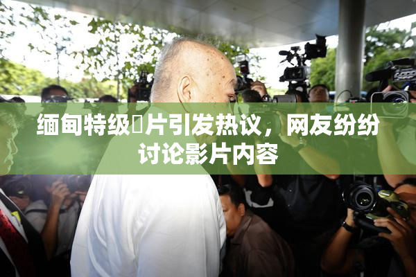 缅甸特级婬片引发热议，网友纷纷讨论影片内容