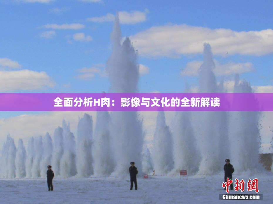 全面分析H肉：影像与文化的全新解读