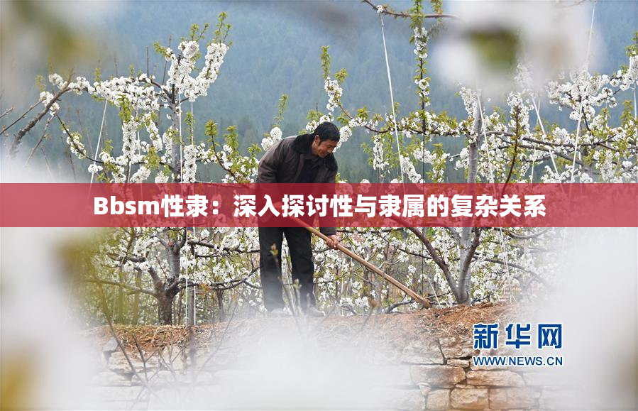 Bbsm性隶：深入探讨性与隶属的复杂关系