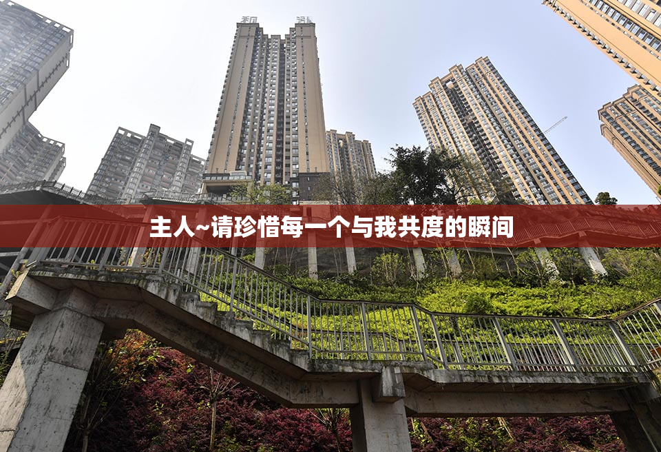 主人~请珍惜每一个与我共度的瞬间