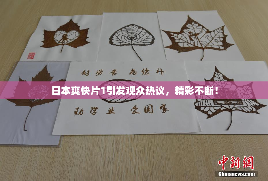 日本爽快片1引发观众热议，精彩不断！