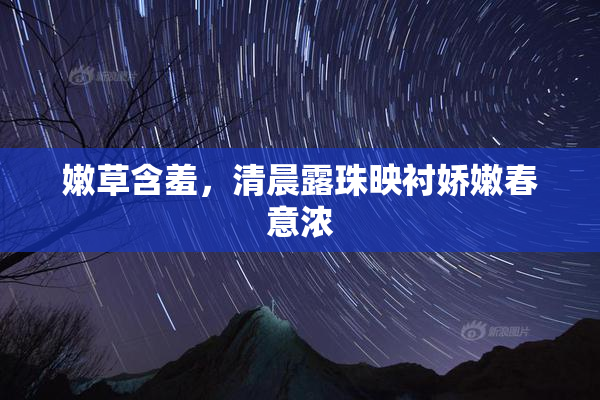嫩草含羞，清晨露珠映衬娇嫩春意浓