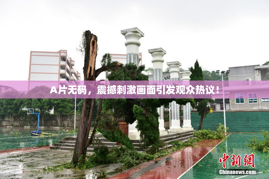 A片无码，震撼刺激画面引发观众热议！