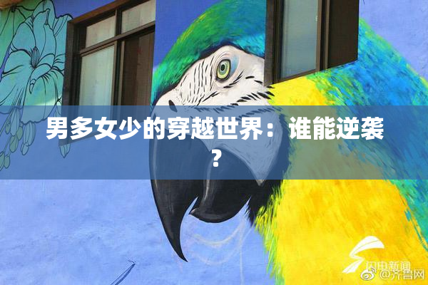 男多女少的穿越世界：谁能逆袭？
