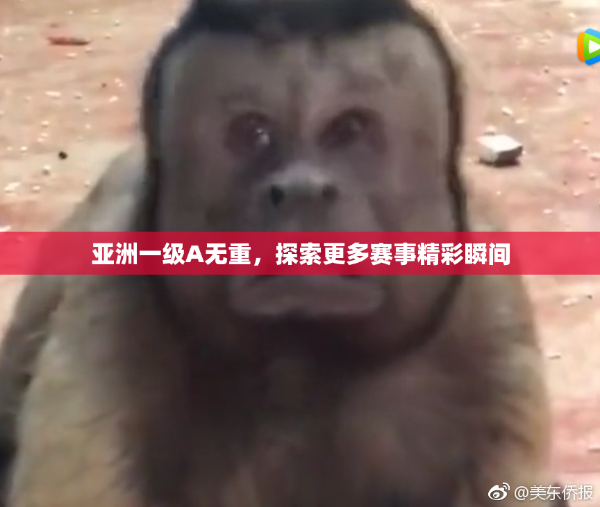 亚洲一级A无重，探索更多赛事精彩瞬间