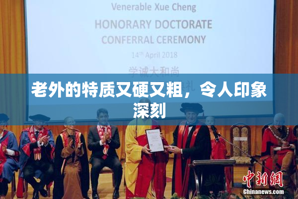 老外的特质又硬又粗，令人印象深刻