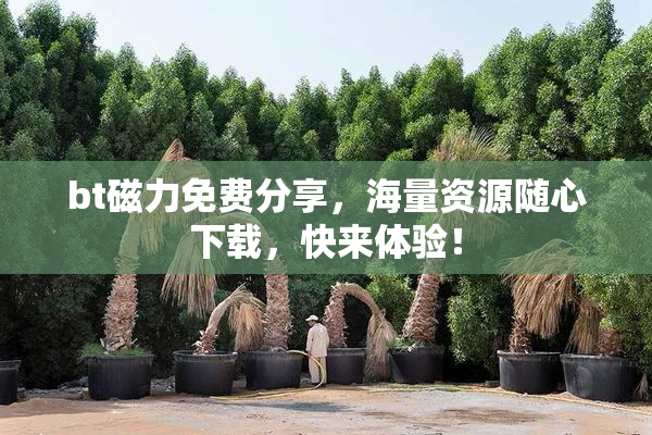 bt磁力免费分享，海量资源随心下载，快来体验！