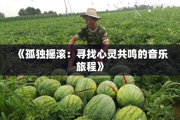 《孤独摇滚：寻找心灵共鸣的音乐旅程》