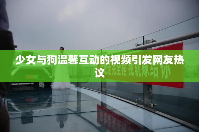 少女与狗温馨互动的视频引发网友热议