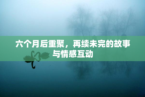 六个月后重聚，再续未完的故事与情感互动