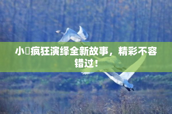 小泬疯狂演绎全新故事，精彩不容错过！