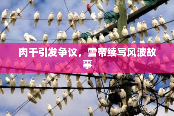 肉干引发争议，雪帝续写风波故事