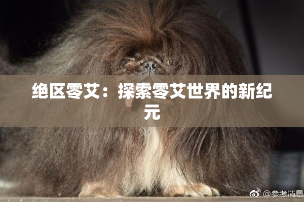 绝区零艾：探索零艾世界的新纪元