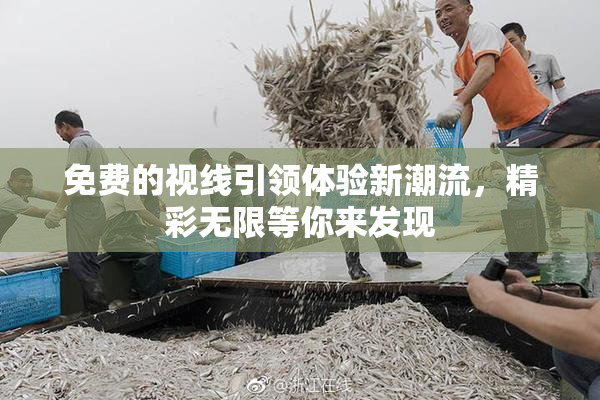 免费的视线引领体验新潮流，精彩无限等你来发现