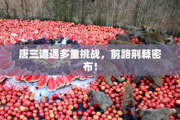 唐三遭遇多重挑战，前路荆棘密布！