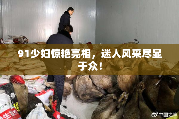 91少妇惊艳亮相，迷人风采尽显于众！