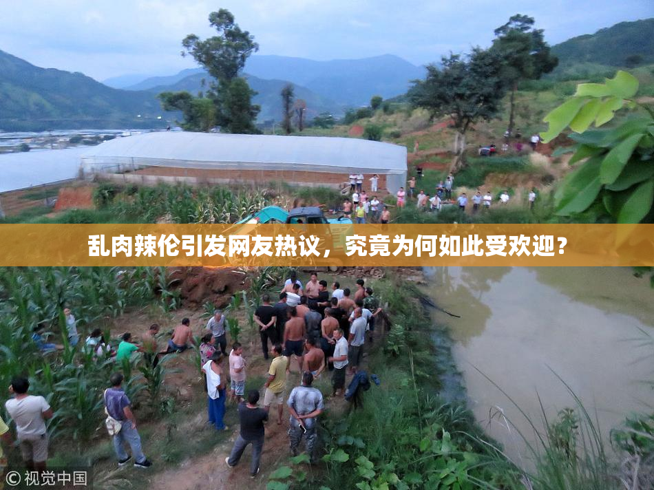 乱肉辣伦引发网友热议，究竟为何如此受欢迎？