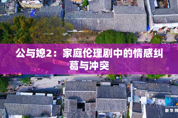 公与媳2：家庭伦理剧中的情感纠葛与冲突